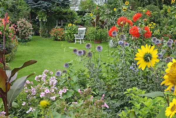 475295 - Garden phlox (Phlox paniculata), great globe thistle (Echinops sphaerocephalus), dahlia (Dahlia) and common sunflower (Helianthus annuus)