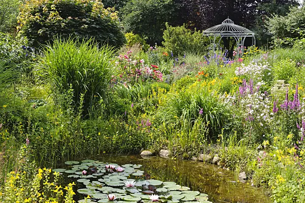 474103 - Garden pond in a rich flowering garden with pavilion