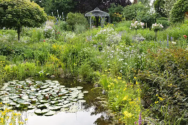 486020 - Garden pond in a rich flowering garden with pavilion