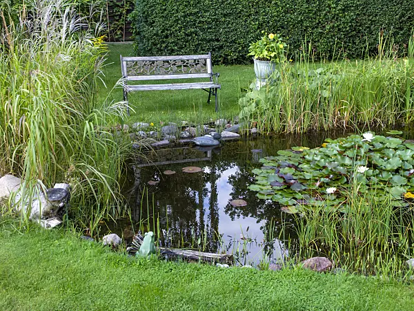 463142 - Garden pond with bench