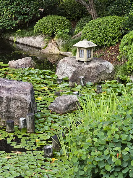 455073 - Garden pond with lantern