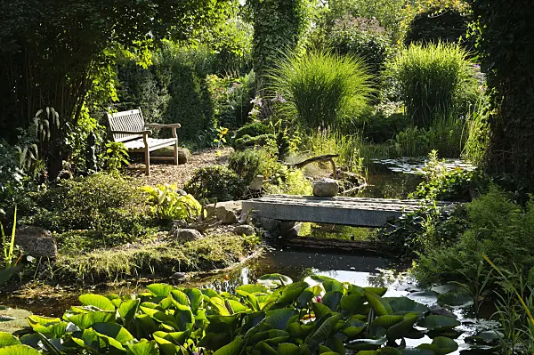 474444 - Garden pond with water lilies (Nymphaea)