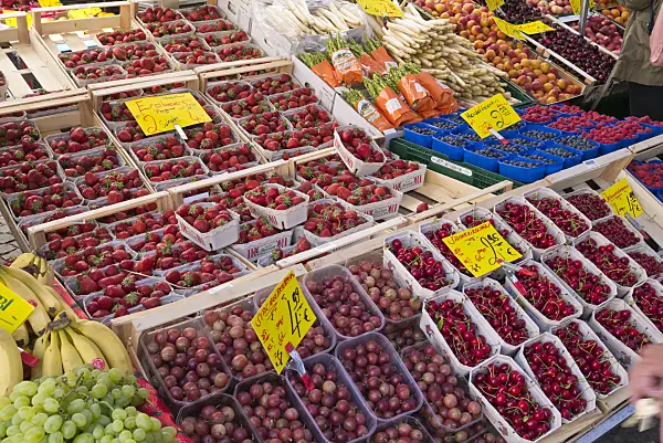 545151 - Garden strawberry (Fragaria x ananassa), gooseberries (Ribes uva-crispa) and sour cherrys (Prunus cerasus)