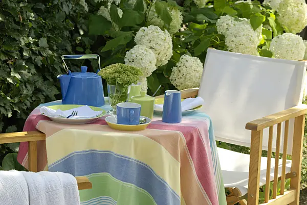 456008 - Garden table with coffee set