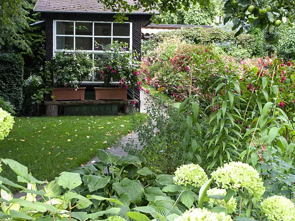 476010 - Garden with fuchsias and hydrangeas