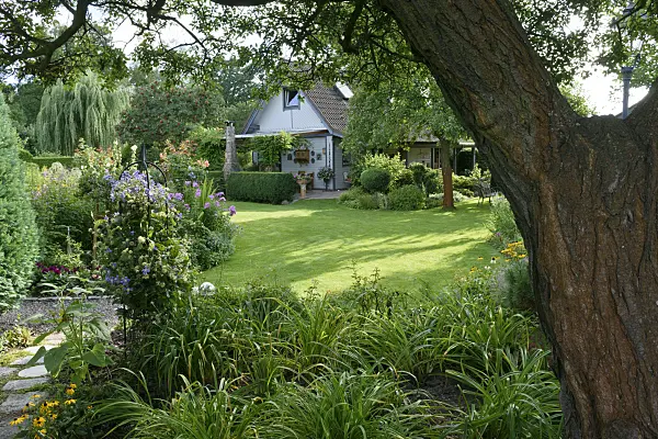 559090 - Garden with perennial beds and lawn
