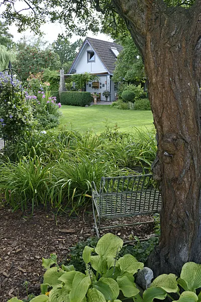 559091 - Garden with perennial beds and lawn