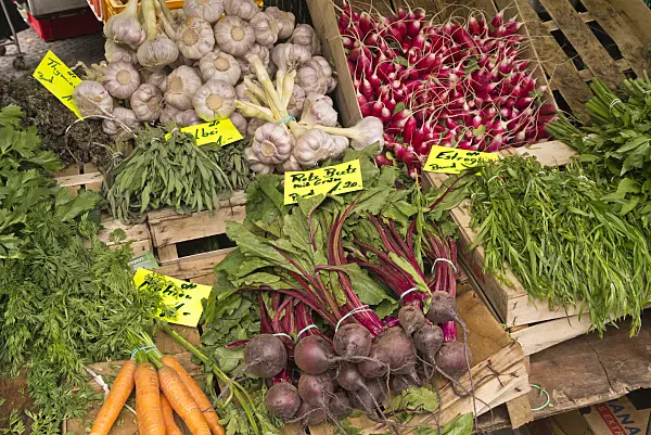 545181 - Garlic (Allium sativum), garden radishes (Raphanus sativus subsp. sativus), red beets (Beta vulgaris var. conditiva) and tarragon (Artemisia dracunculus)