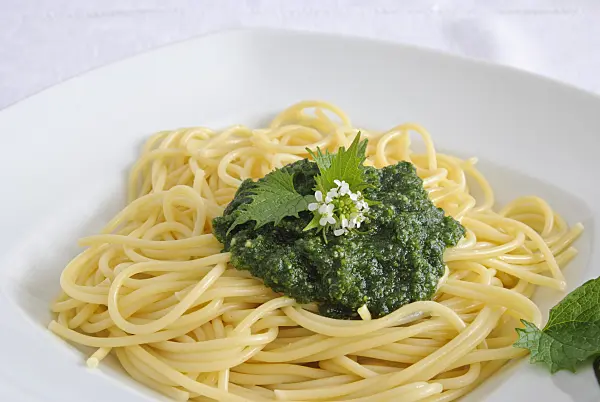 481008 - Garlic mustard (Alliaria petiolata) on spaghetti with pesto