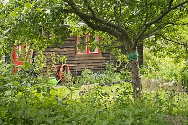 532008 - Gartenlaube in einem Naturgarten