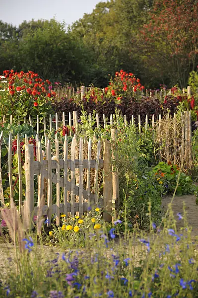 517106 - Gate in a farm garden