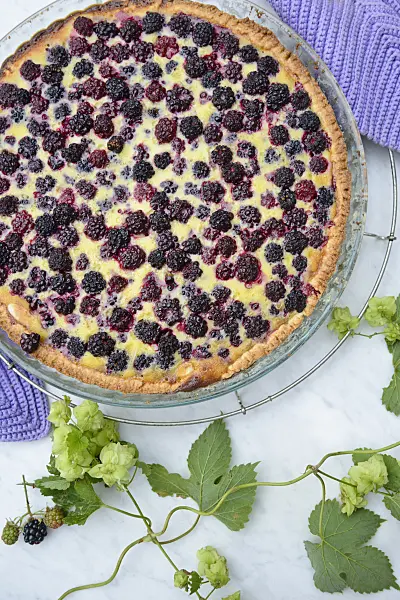 545061 - Gâteau(x) aux mûres