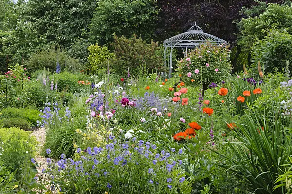 473074 - Géraniums (Geranium), pavots d'Orient (Papaver orientale), rosiers (Rosa), pivoines (Paeonia) et digitale (Digitalis) avec un gazébo