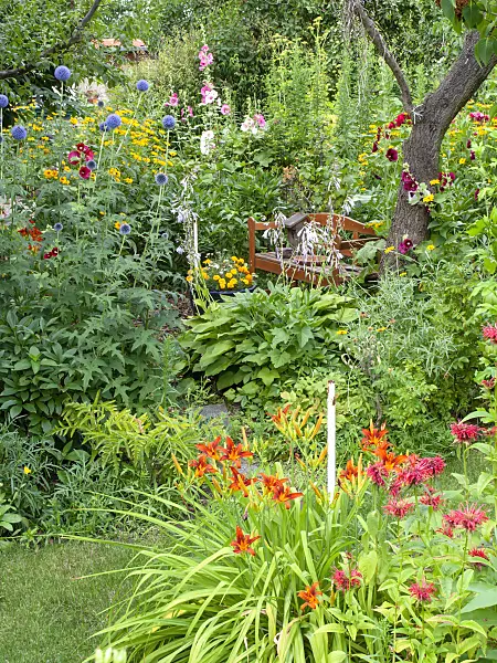 486250 - Globe thistles (Echinops), day lilies (Hemerocallis), hollyhocks (Alcea) and bee balms (Monarda)