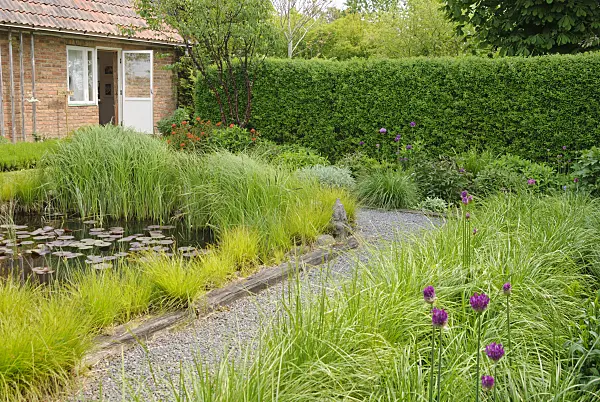 509148 - Grass garden with water basin