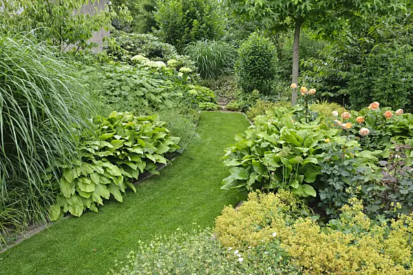 474059 - Grass path in a perennial garden