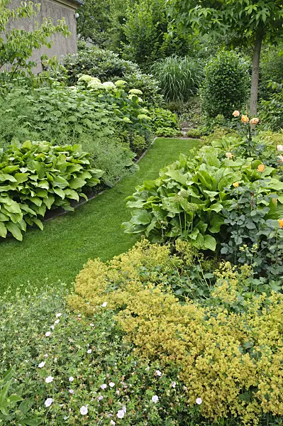 474060 - Grass path in a perennial garden