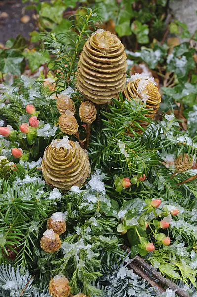 466081 - Grave decoration with cones