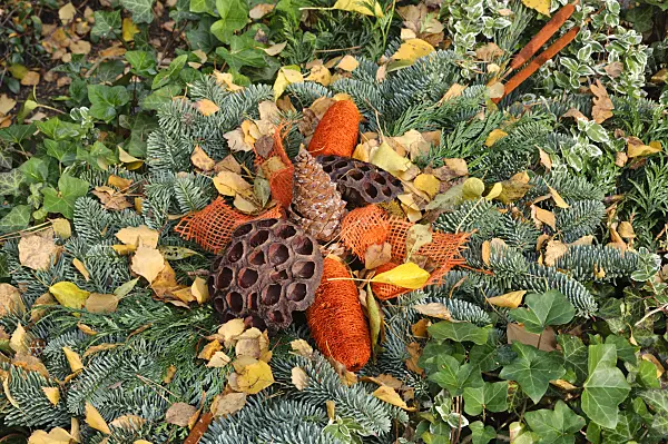 466032 - Grave decoration with fir branches and dyed plant parts