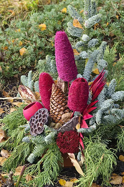 466034 - Grave decoration with fir branches, cones and dyed plant parts