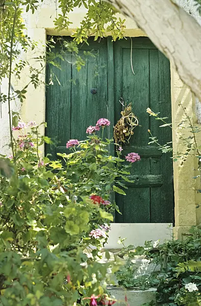 432016 - Green door with pelargonium