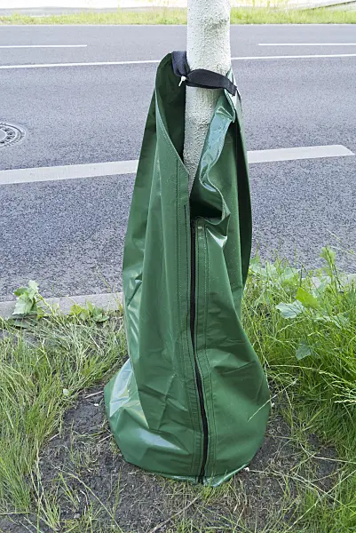 545047 - Green watering bag with elastic band and zipper for  irrigation of trees