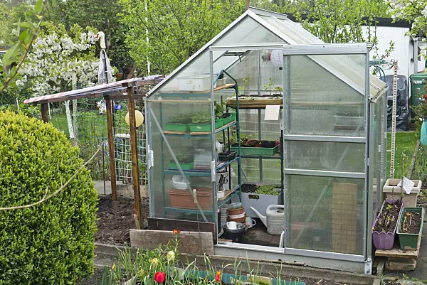 543056 - Greenhouse in an allotment garden