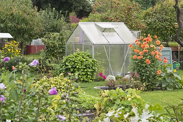 573075 - Greenhouse in an allotment garden