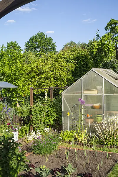 625036 - Greenhouse in an allotment garden