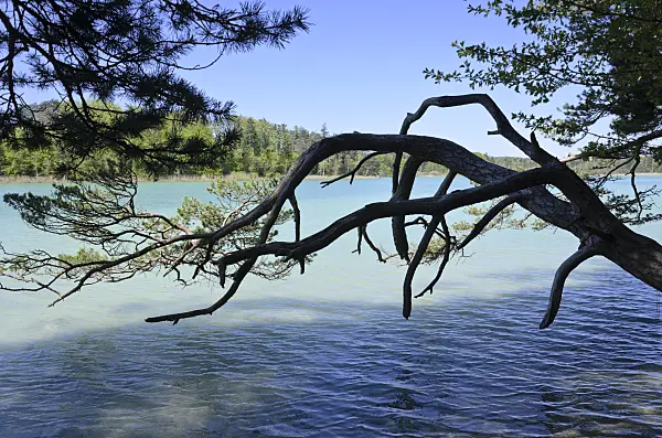 556031 - Großer Ostersee, Osterseen Nature Reserve, Bavaria, Germany