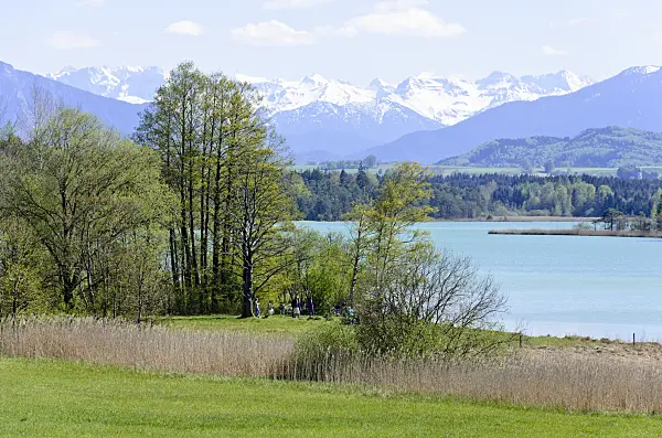 556035 - Großer Ostersee, réserve naturelle d'Osterseen, Bavière, Allemagne