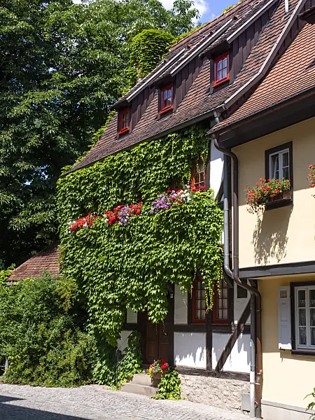 462015 - Half-timbered house, Erfurt, Germany