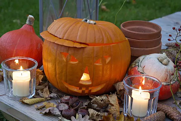 460036 - Halloween pumpkin with storm lamps