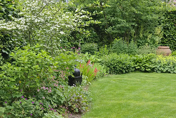 518022 - Hawthorn (Crataegus x prunifolia syn. Crataegus x persimilis) and great masterwort (Astrantia major) with decoration