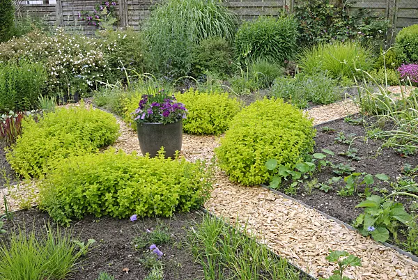 518031 - Herbal garden