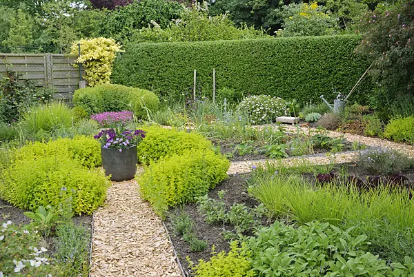 518032 - Herbal garden