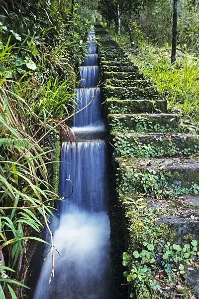 388120 - Hiking trail at a levada, Ribeiro Frio, Madeira, Portugal