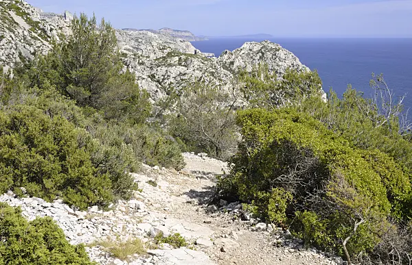 533162 - Hiking trail, Calanques National Park, France
