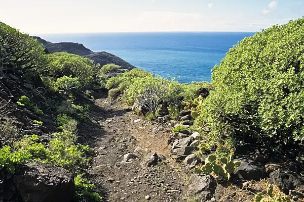 397076 - Hiking trail, Tamadaba Nature Reserve, Gran Canaria, Spain