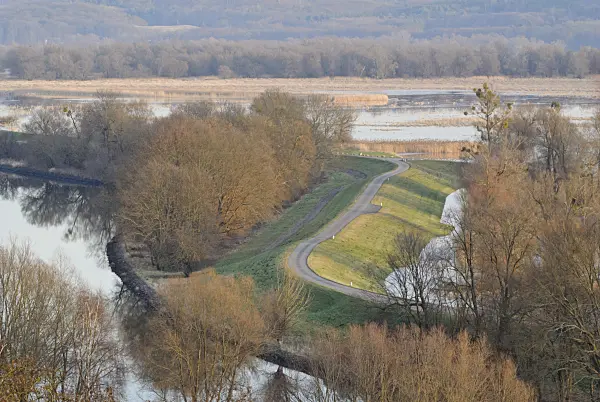 527042 - Hohensaaten-Friedrichsthaler Wasserstraße and flooded polder meadows, Lower Oder Valley National Park, Germany