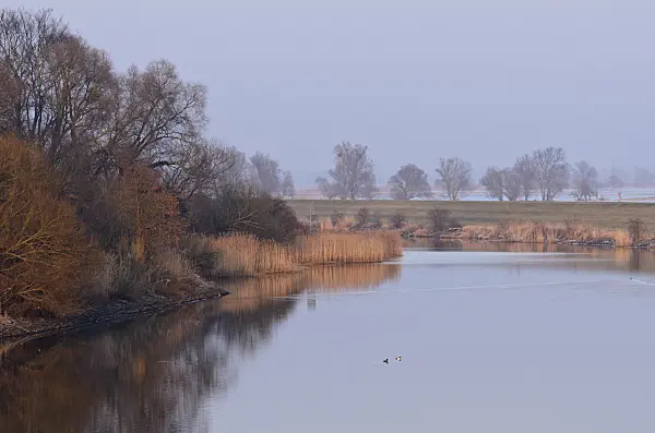 564260 - Hohensaaten-Friedrichsthaler Wasserstraße near Criewen, Lower Oder Valley National Park, Germany