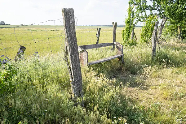 625038 - Holzbank an einer eingezäunten Obstallee