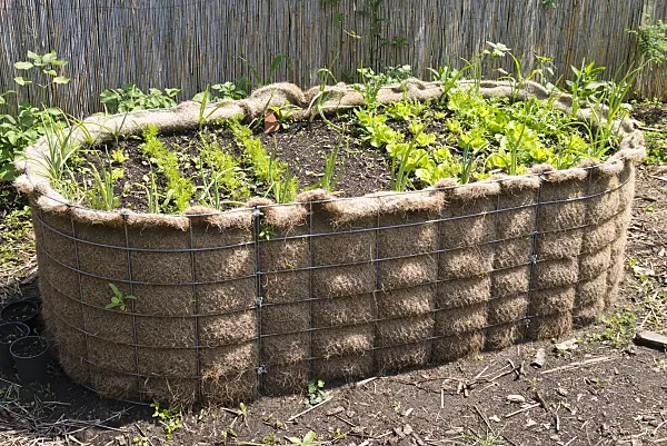 557046 - Home-made raised bed in a natural garden