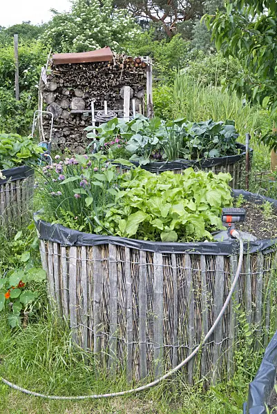 557051 - Home-made raised bed in a natural garden