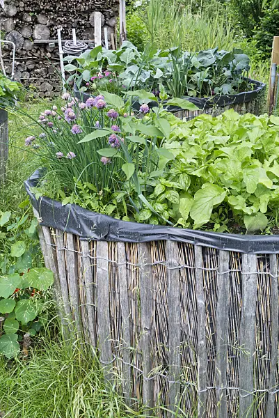 557053 - Home-made raised bed in a natural garden