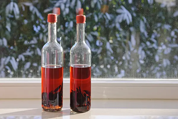 518066 - Homemade sloe liqueur