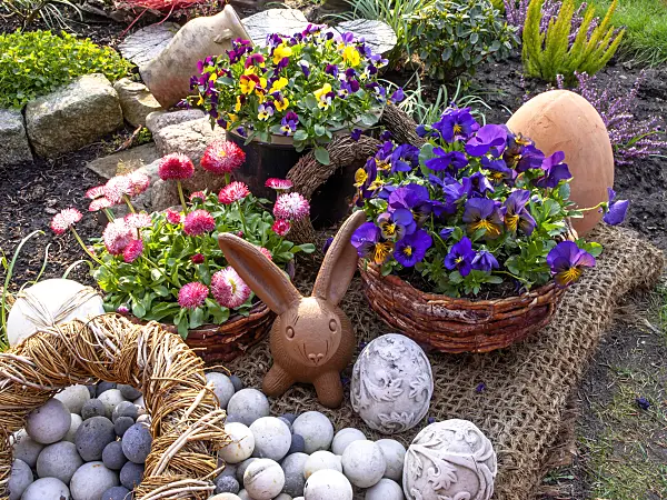 447089 - Horned pansies (Viola cornuta) and common daisy (Bellis perennis) with Easter bunny