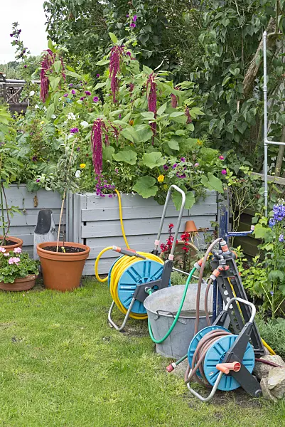 559021 - Hose trolleys and raised beds in an allotment garden