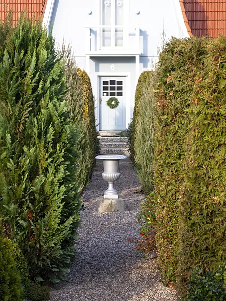 479038 - House entrance with coniferous trees