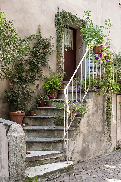 453110 - House entrance with potted plants